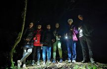 Night Walk in the Monteverde Cloud Forest. 