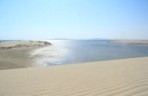 Desert Safari with Sandboarding and Inland Sea Private Tour