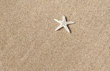 Desert Safari with Sandboarding and Inland Sea Private Tour