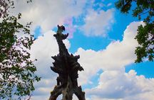 Fast Track Wawel Castle and Old Town Tour with Transfers