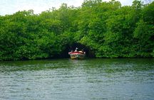 Galle Day Tour with Train Ride from Colombo or Negombo