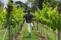 Deluxe Winery Tour to Tamborine Mountain (Mon-Tues)