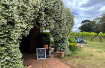 Deluxe Winery Tour to Tamborine Mountain (Mon-Tues)