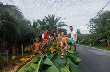 Khao Lak Ethical Elephant Sanctuary Small Group Tour