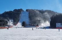 Full Day Ski Tour From Seoul to Yongpyong Ski Resort