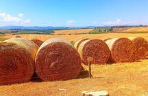 Chianti Classico Wine Tour and San Gimignano Visit Half Day