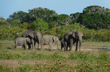 Situlpawwa Temple Visit with Yala National Park outside Safari