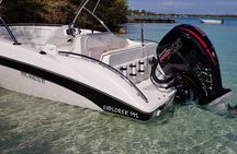 Speed Boat Tour île aux Cerfs and Others Gems of The South