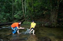 Kuala Lumpur Private Tour to Batu Caves Hotsprings And Waterfalls