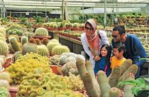 Private Nature Trip to Cameron Highlands from Kuala Lumpur