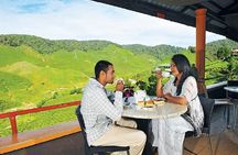 Private Nature Trip to Cameron Highlands from Kuala Lumpur