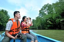 Taman Negara Day Trip from Kuala Lumpur with Lunch