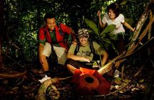 Taman Negara Day Trip from Kuala Lumpur with Lunch