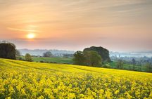 Private Day Tour from Bath to Stonehenge and The Cotswolds