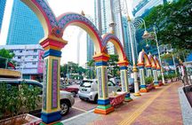 Private Half Day Batu Caves and Cutural Tour in Kuala Lumpur
