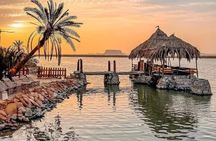 Package 5 Days 4 Nights to Siwa, Bahariya & White Desert