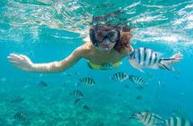 Islas del Rosario plus Bioluminescence Experience