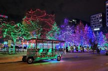 Trolley Pub Holiday Lights Tour in Columbus