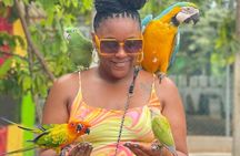 Montego Bay Exotic Herbs, Birds and Animals Interaction Tour