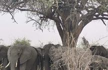  Chobe National Park from Victoria Falls