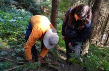 Culinary Adventure To The Fungi And Botanical Kingdom Of Bulgaria