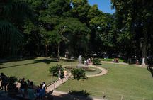 Tropical Treasures: Rio’s Full-Day Nature Expedition