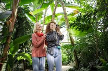 Tropical Treasures: Rio’s Full-Day Nature Expedition