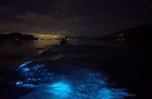 Eddy's Bioluminescence Reserve in Punta Cuchillos