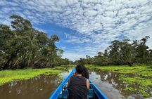 Tra Su Cajuput Forest An Cairang Floating Market