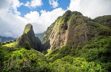 Golden Pineapples & Hidden Gems: A Private Upcountry Tour