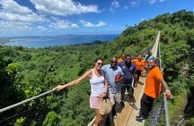 Vanuatu Jungle Zipline, Swing and Skybridge Combo with Transfer