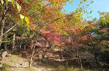 Hiroshima Saijo Sake Tasting, Hiking and Lunch Private Bus Tour