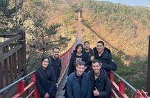 Seoul City Private Tour (Optional : Seoul, DMZ, Nami Island)