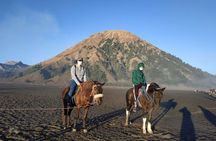 Private Adventure King Kong Hill Bromo National Park in Malang