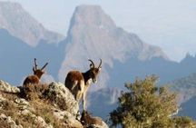 2 Nights 3 Days Trek to Semien Mountain