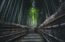 Private Sightseeing Tour Visit in Kyoto with Transfer Included