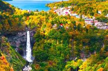 From Tokyo: Nikko Private 1-Day Sightseeing trip with Guide