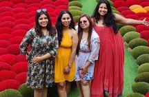 Quang Phu Cau Incense Village- Hoa Lu - Trang An Small Group Tour