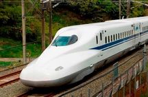 From Tokyo 1-Day Kyoto English-guided Tour by Bullet Train
