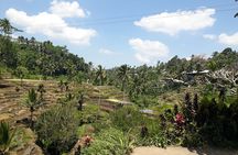 Private tour in Ubud country side