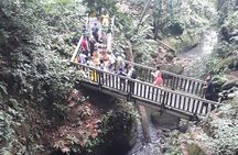 Private tour in Ubud country side