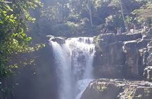 Private tour in Ubud country side