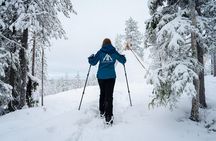 Snowshoeing in Snowy Forest with Local Guide