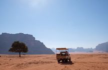 3 hours Jeep Tour in Wadi Rum