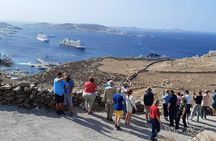 Mykonos Shore Excursion with Pickup from Cruise Ship Terminal