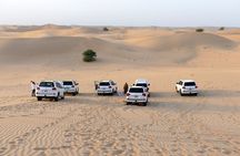 Morning Desert Safari with Quad Bike Tours 