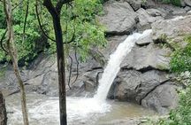 Quad tour in Guanacaste with Pickup