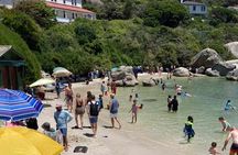 Penguin Watching & Beach Day at Boulder's Beach, Cape Town