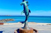 Day trip excursion to La Paz BCS & Balandra beach