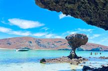 Day trip excursion to La Paz BCS & Balandra beach
